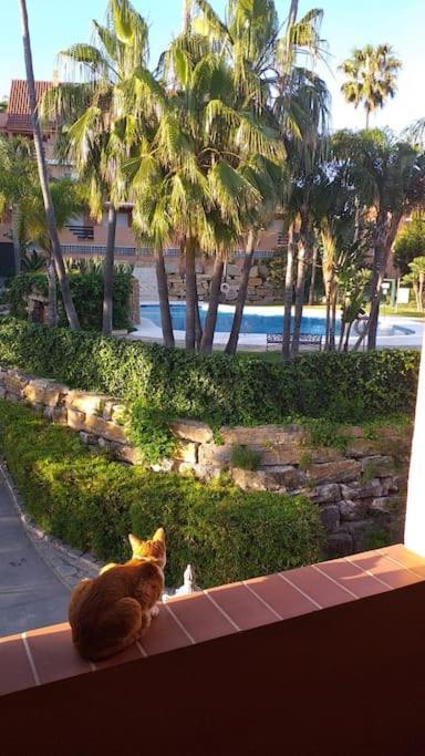 Planta Baja Cerca De La Playa Casares Costa Apartment Luaran gambar